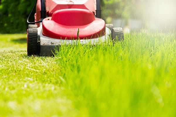 When it is best to mow your lawn – 3 important tips!